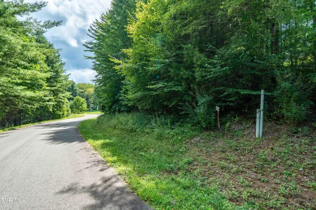 $65,000 | Lot # Laurel Way Mountain, Unit 55, Mountain City, TN 37683