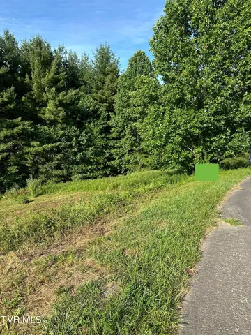 $65,000 | Lot # Laurel Way Mountain, Unit 55, Mountain City, TN 37683