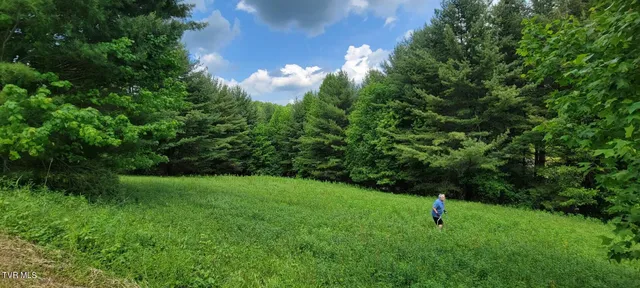 $65,000 | Lot # Laurel Way Mountain, Unit 55, Mountain City, TN 37683