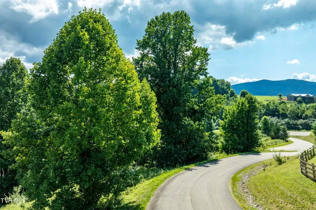 $65,000 | Lot # Laurel Way Mountain, Unit 55, Mountain City, TN 37683