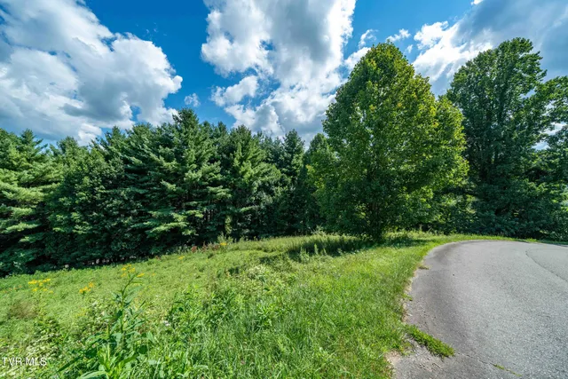 $65,000 | Lot # Laurel Way Mountain, Unit 55, Mountain City, TN 37683