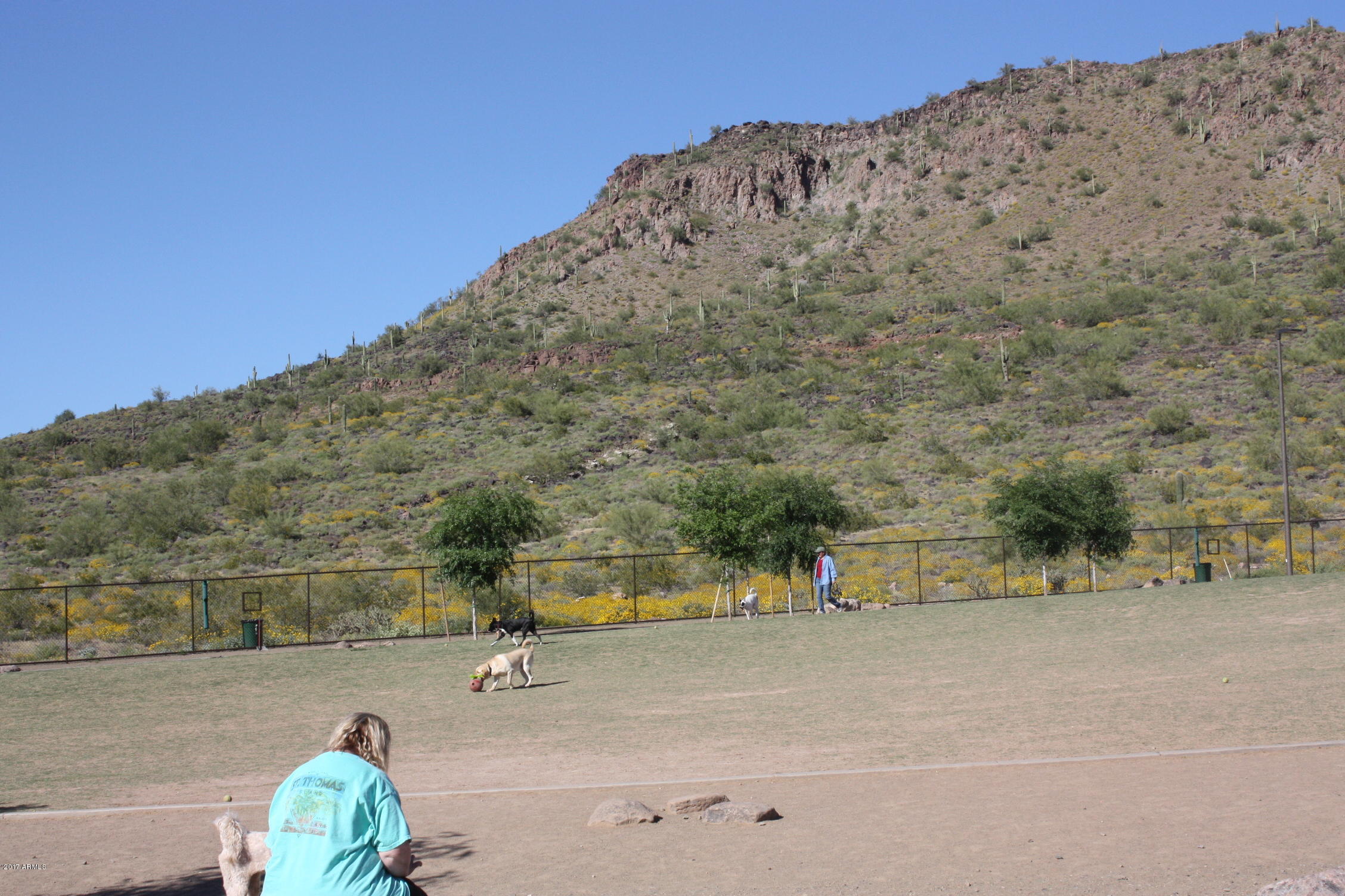 5521 West Rowel Road Phoenix, AZ 85083 - Photo 28 of 28 Dog Park