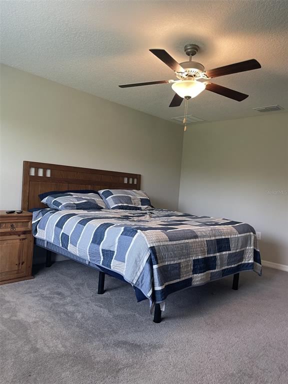 11901 Castine Street New Port Richey, FL 34654 - Photo 11 of 27 a bedroom with a bed and ceiling fan