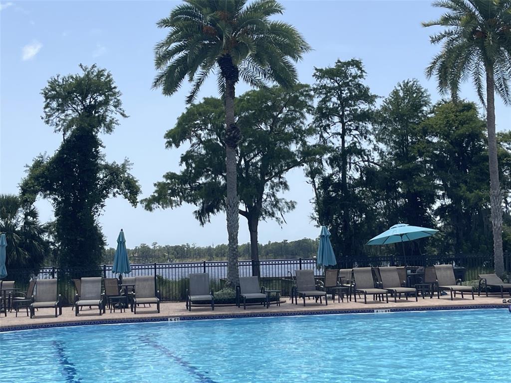 11901 Castine Street New Port Richey, FL 34654 - Photo 23 of 27 a swimming pool view with outdoor seating