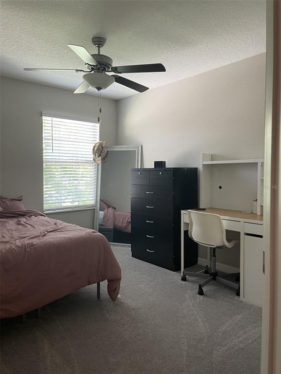 11901 Castine Street New Port Richey, FL 34654 - Photo 5 of 27 a bedroom with a bed and a window