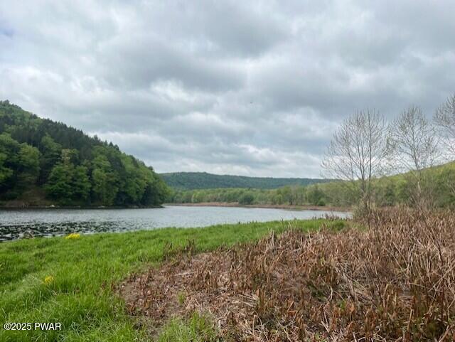 Lot 1 Warren Road Hancock, NY 13783 - Photo 7 of 29