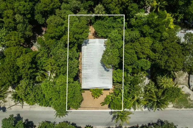 a view of a bird bath