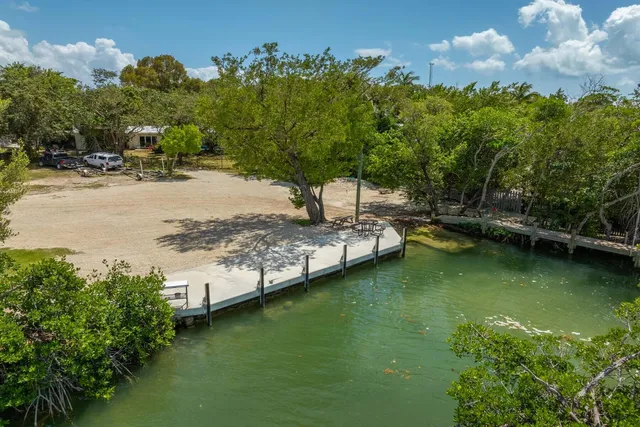 a view of a water pond with palm trees