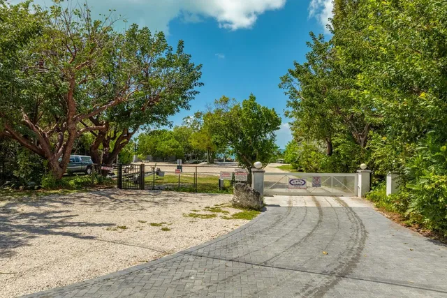 a view of yard with tree