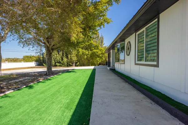 a view of a yard with plants and a trees