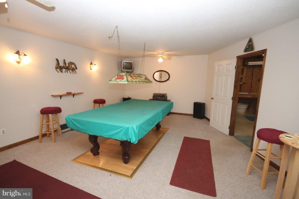 17040 Melville Road Henderson, MD 21640 - Photo 21 of 28 Rec Room in Garage