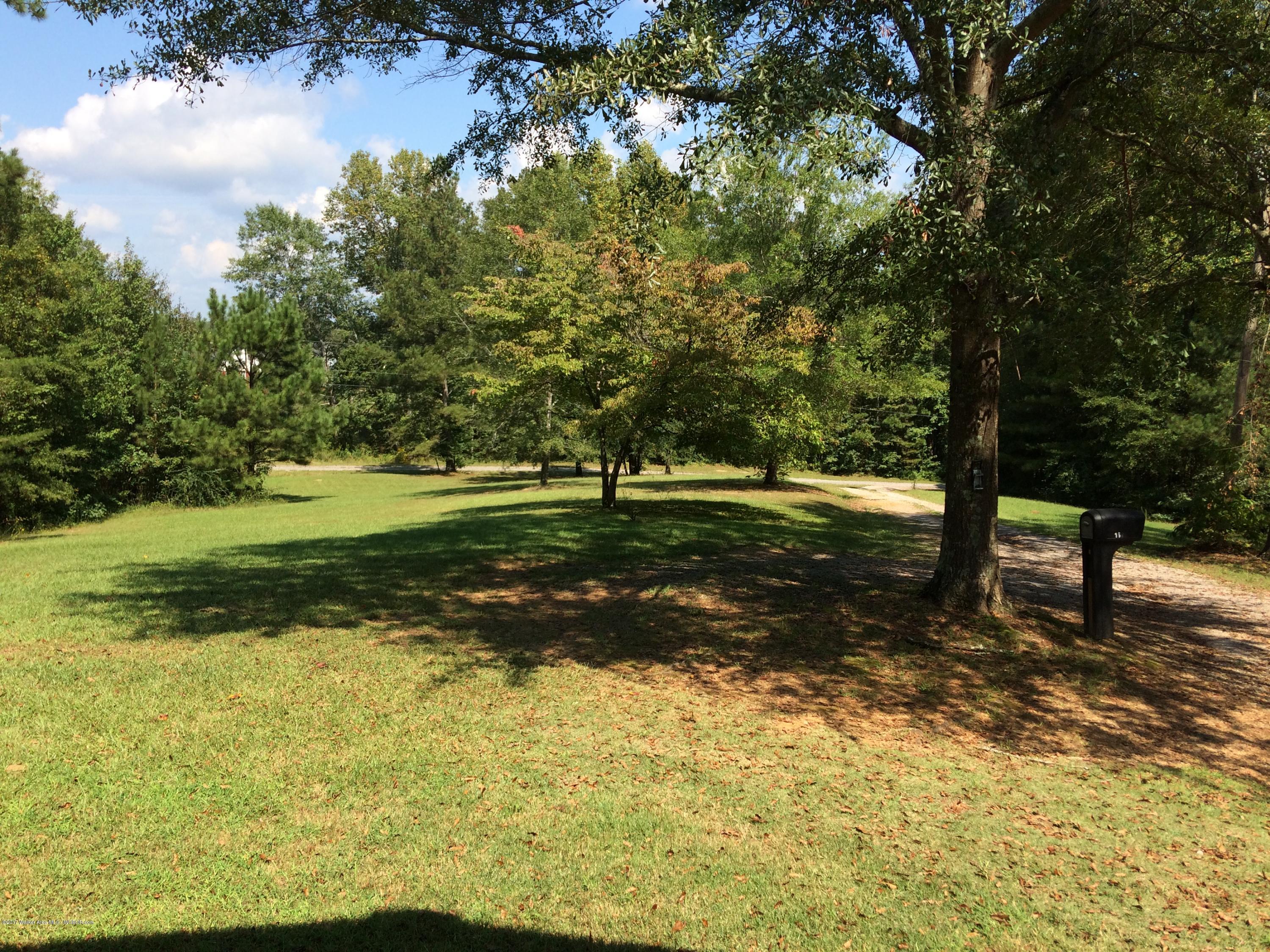 1699 Johnsey Bridge Road Jasper, AL 35503 - Photo 11 of 17 Gallery Image 11