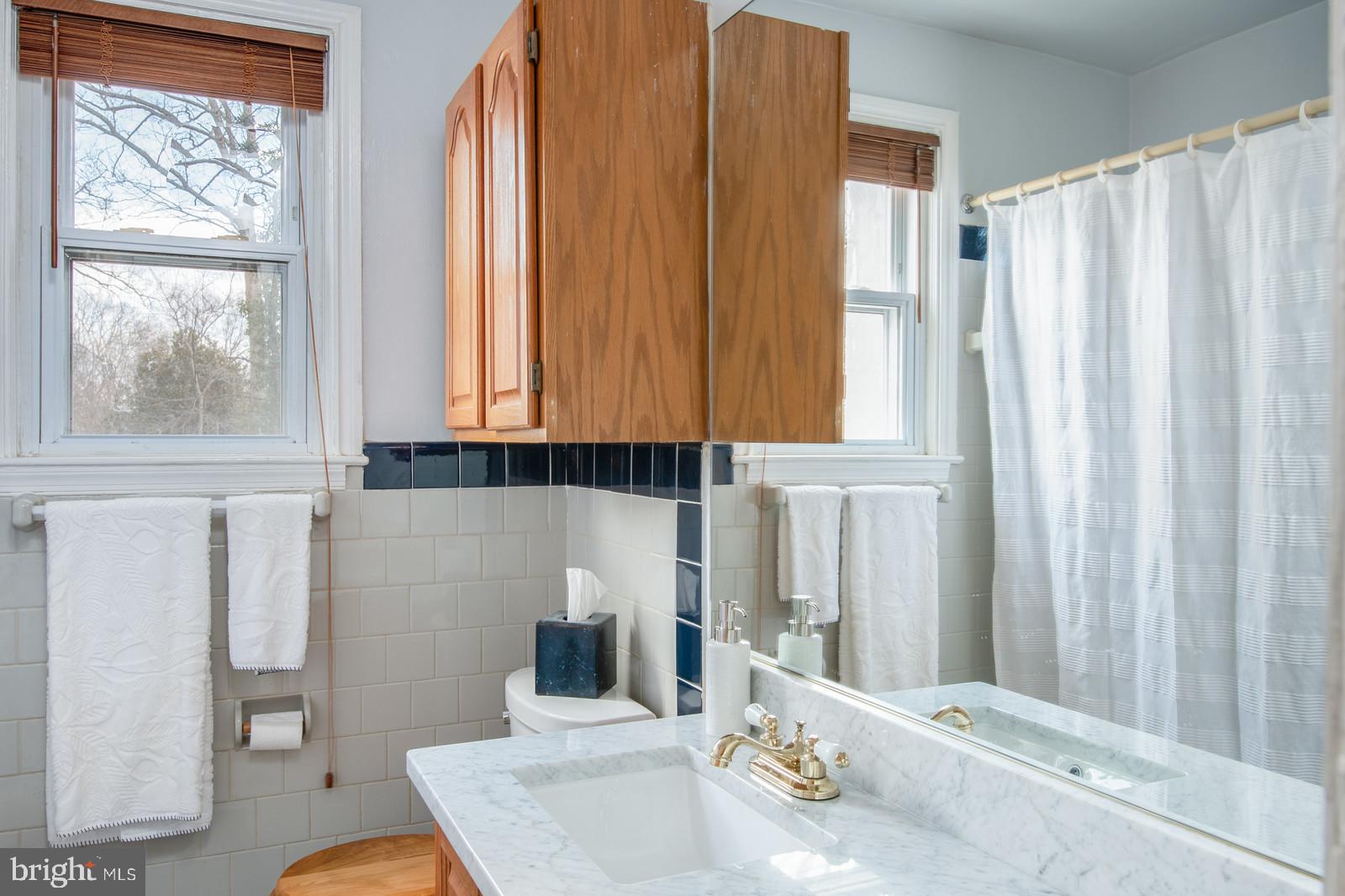 7037 Coventry Road Alexandria, VA 22306 - Photo 21 of 39 Bathroom