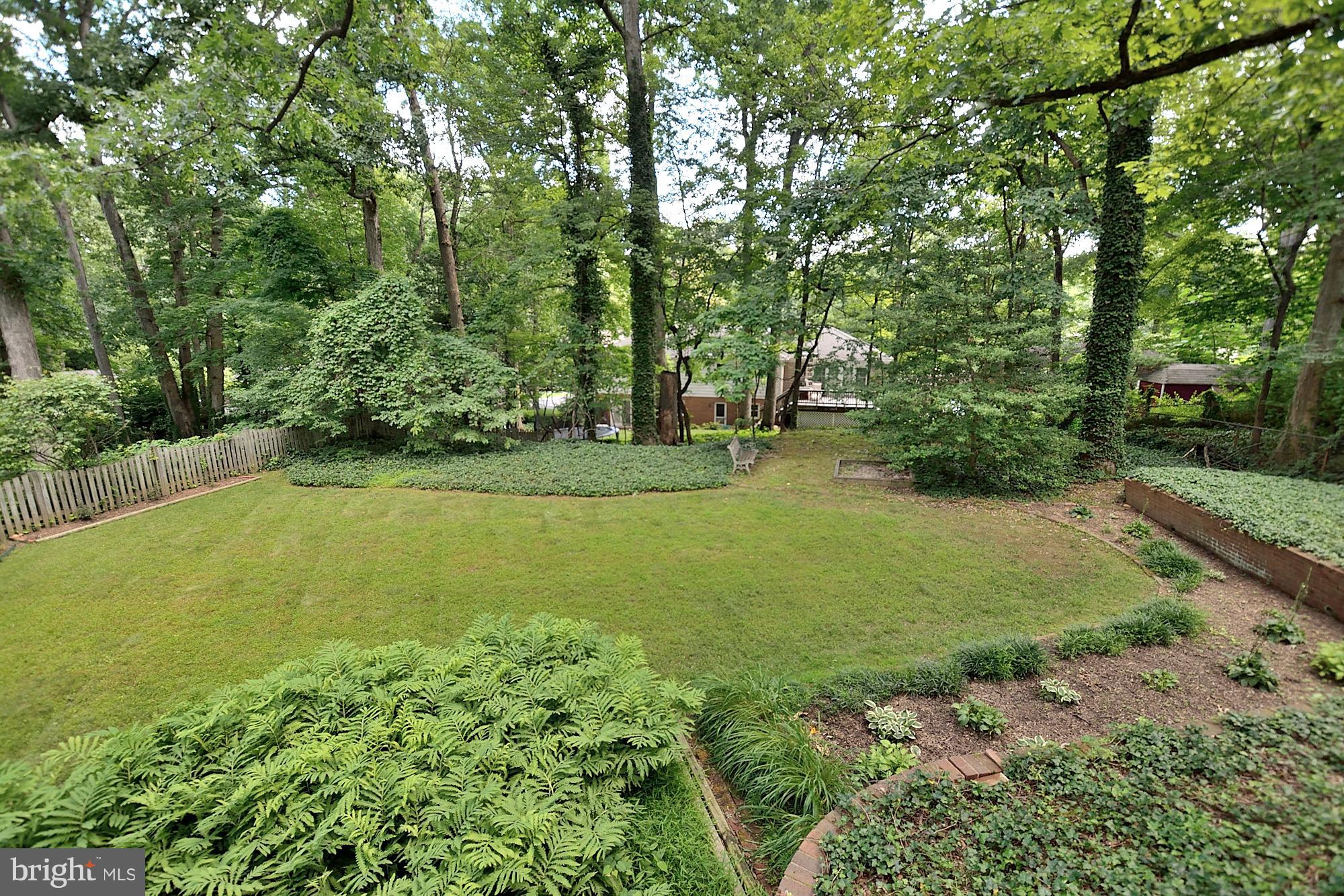 7037 Coventry Road Alexandria, VA 22306 - Photo 35 of 39 Backyard