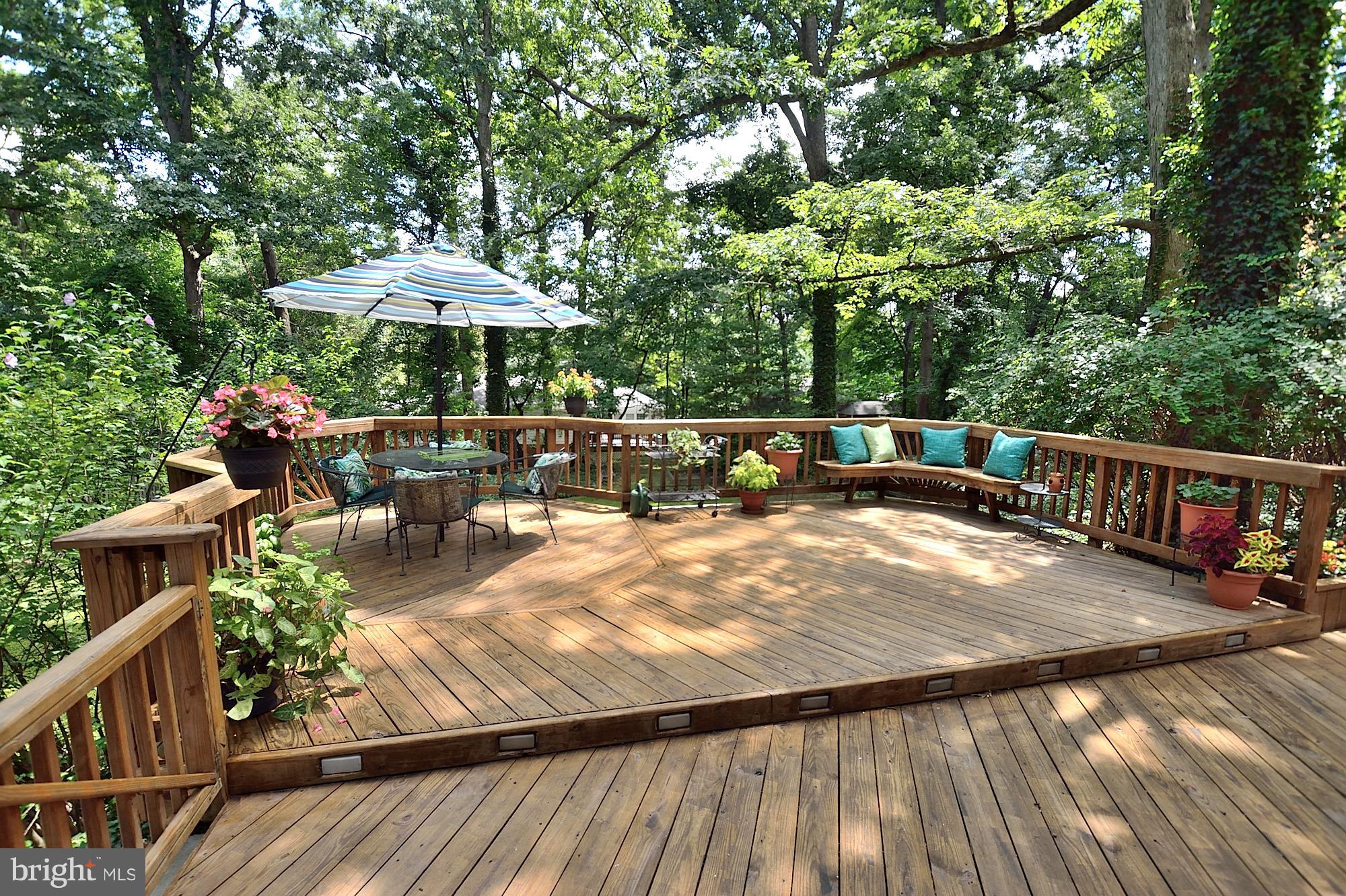 7037 Coventry Road Alexandria, VA 22306 - Photo 8 of 39 Sun Deck