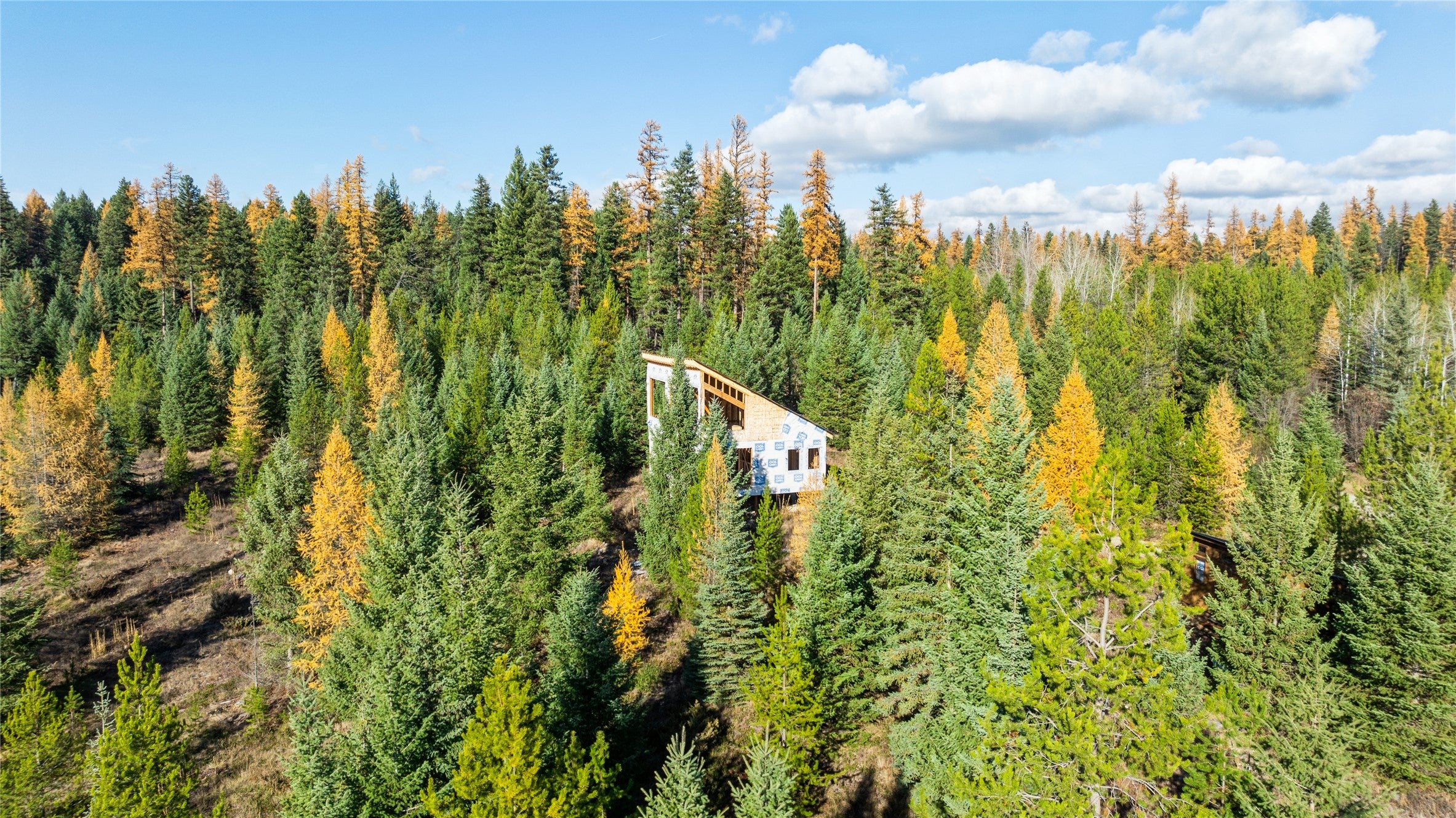 226 Lupfer Road Olney, MT 59927 - Photo 7 of 16 Property borders Stillwater State Forest on the north