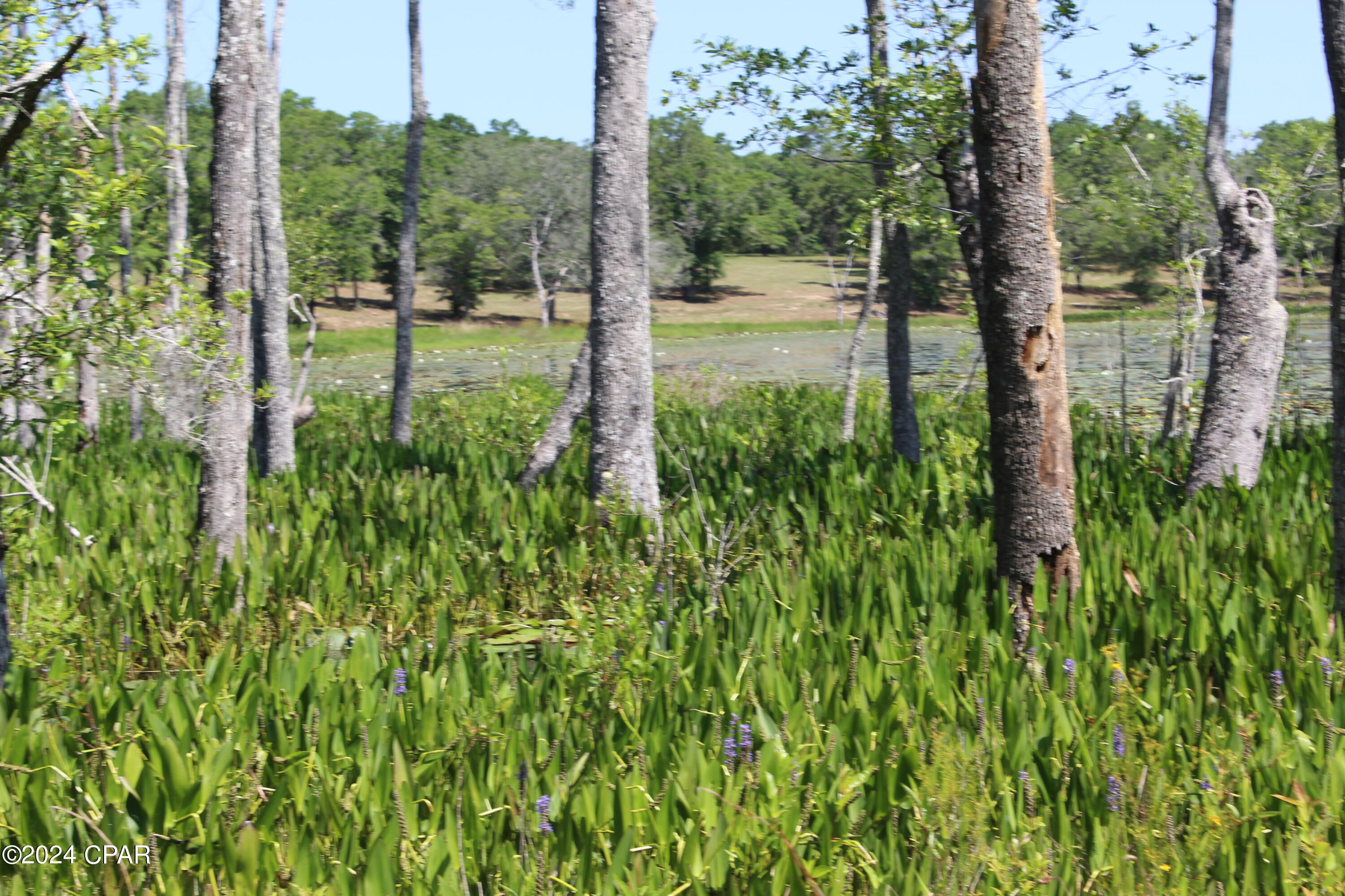 Tbd Twin Pond Road Vernon, FL 32462 - Photo 41 of 42 Gallery Image 41