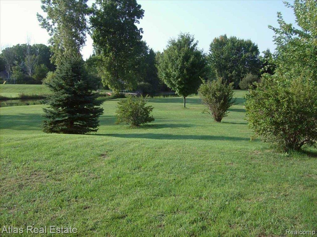 12470 Coolidge Road Goodrich, MI 48438 - Photo 3 of 10 back yard 3 - Copy (2)