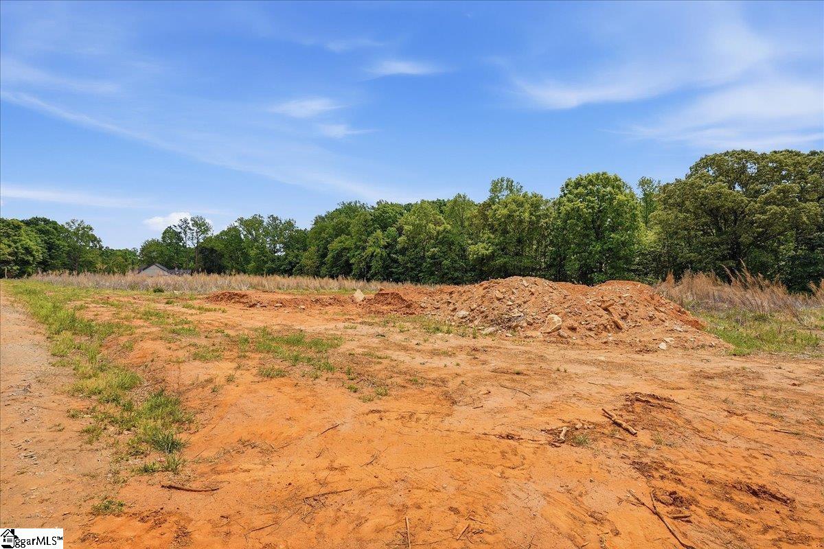 0 Parris Farm Road, Unit LOT 5 Chesnee, SC 29323 - Photo 23 of 26