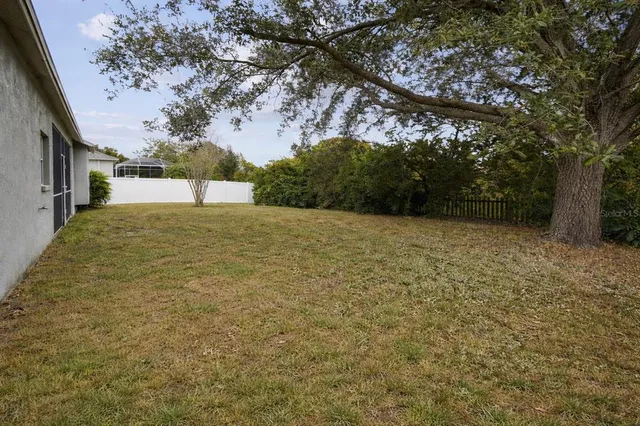 a view of a yard with a tree