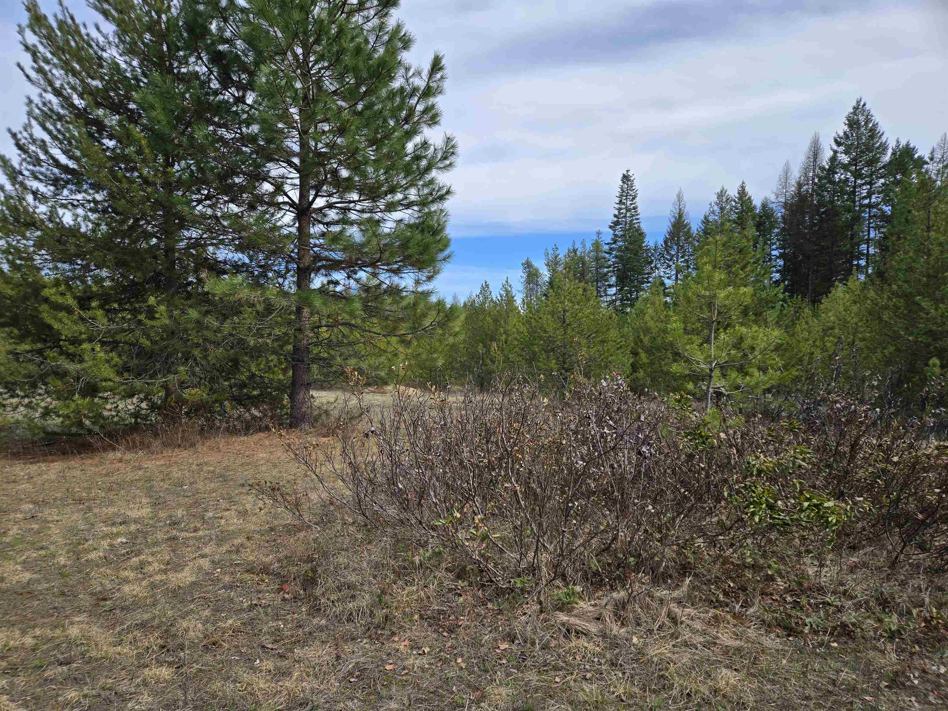 127 Stohr Road Newport, WA 99156 - Photo 13 of 23 Gallery Image 13