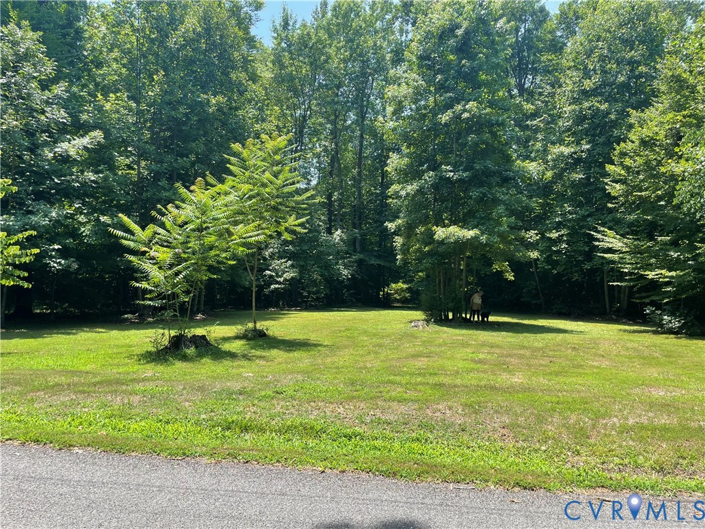 0 Tbd Bumpass, VA 23024 - Photo 1 of 8 Expansive green lawn surrounded by mature trees, f