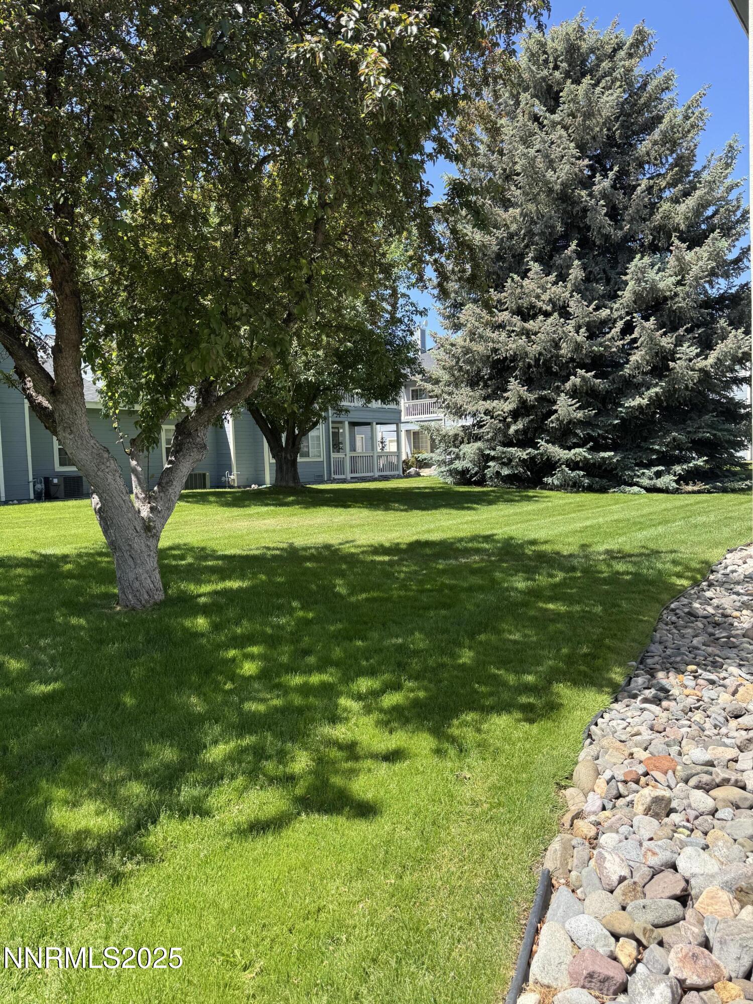 3016 Hauser Court Carson City, NV 89701 - Photo 13 of 13 a view of a trees in a yard