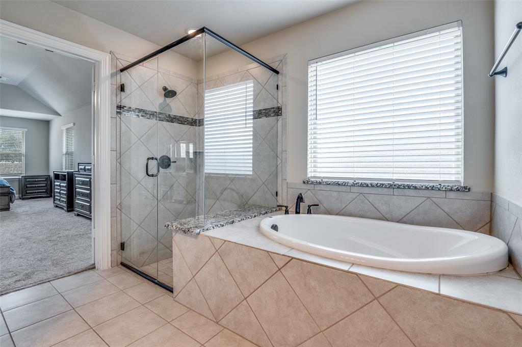 734 Staghorn Street Midlothian, TX 76065 - Photo 13 of 25