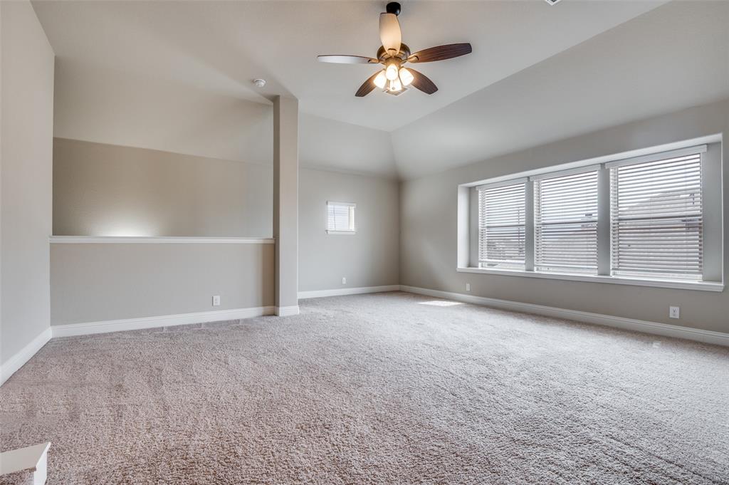 734 Staghorn Street Midlothian, TX 76065 - Photo 19 of 25