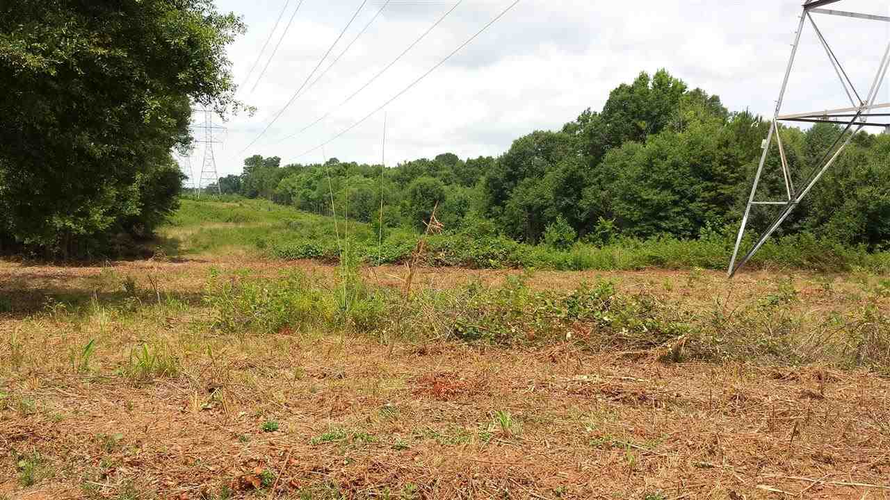 1347 Clinkscales Road, Unit TRACT 6 Anderson, SC 29624 - Photo 5 of 11