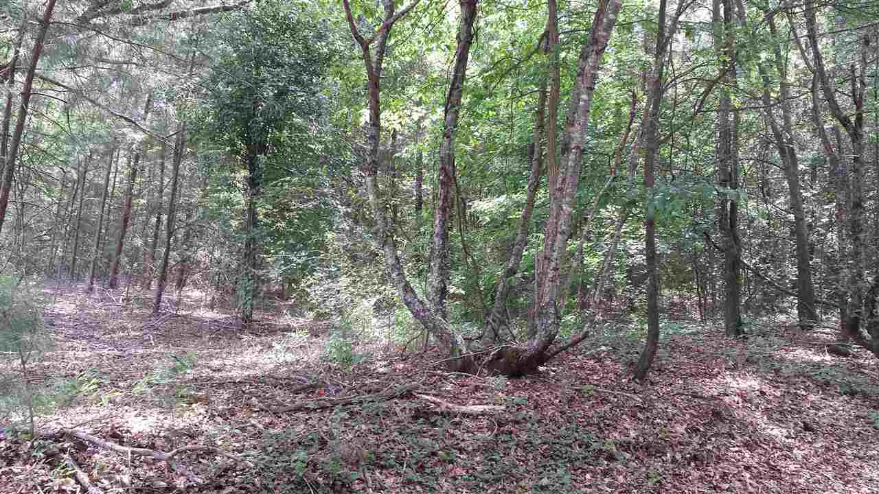 1347 Clinkscales Road, Unit TRACT 6 Anderson, SC 29624 - Photo 8 of 11