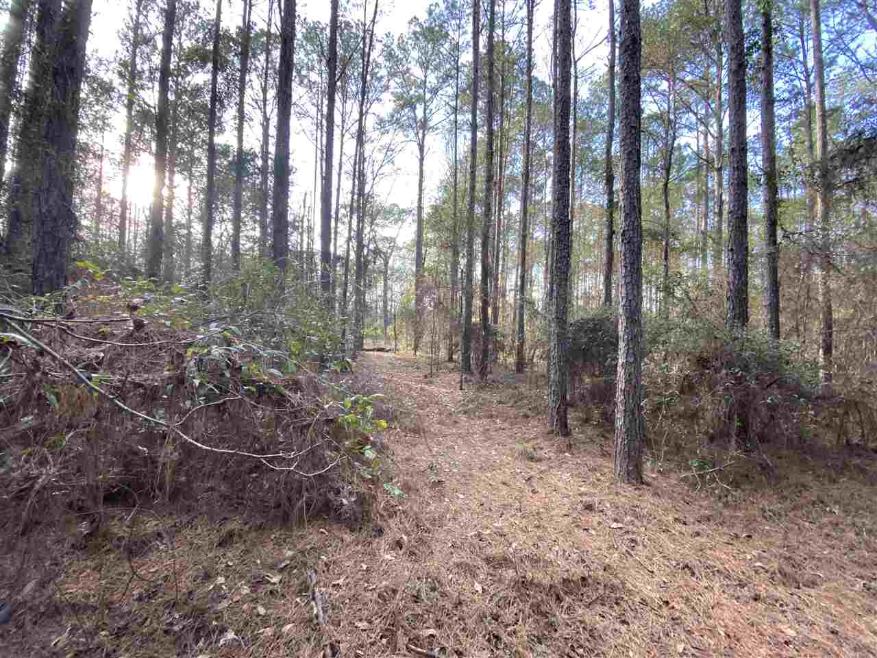 Xx Xx Clark Cemetery Road Monticello, FL 32344 - Photo 1 of 23 Gallery Image 1