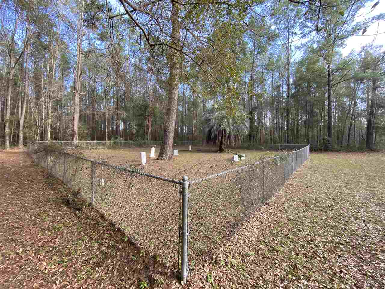 Xx Xx Clark Cemetery Road Monticello, FL 32344 - Photo 22 of 23 Gallery Image 22