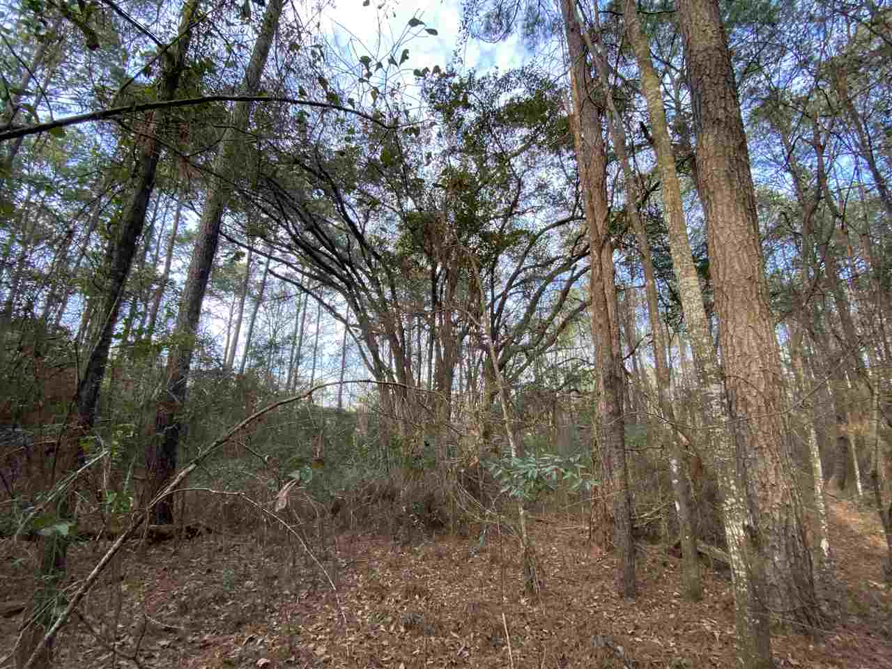 Xx Xx Clark Cemetery Road Monticello, FL 32344 - Photo 9 of 23 Gallery Image 9