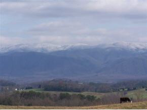 715 Sunnyside Road Greeneville, TN 37743 - Photo 2 of 7 Photo 2