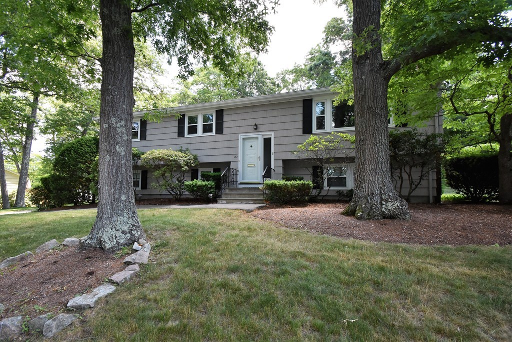 82 Albemarle Road Norwood, MA 02062 - Photo 21 of 26 Gallery Image 21