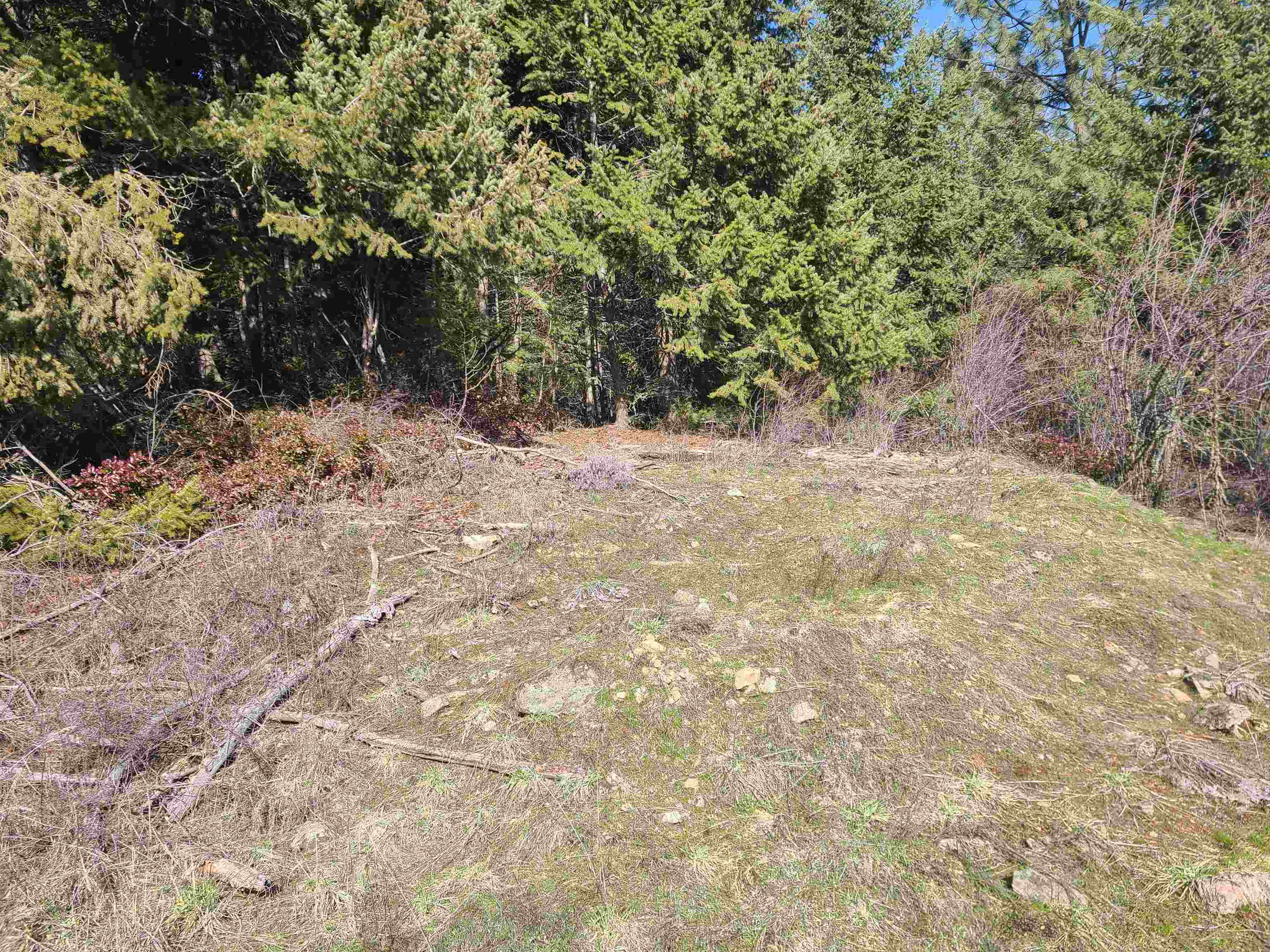 2584 F Bridgeman-Rettinger Road Kettle Falls, WA 99141 - Photo 13 of 21