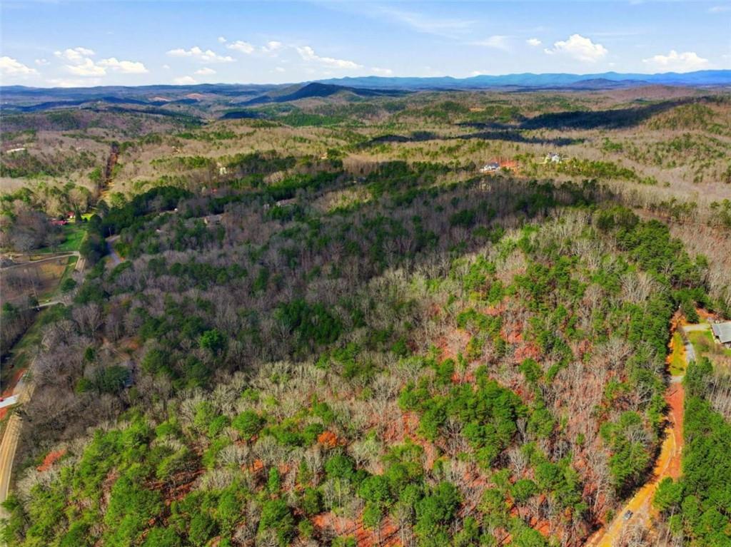64 Bull Gap Road Talking Rock, GA 30175 - Photo 3 of 10 a view of an ocean