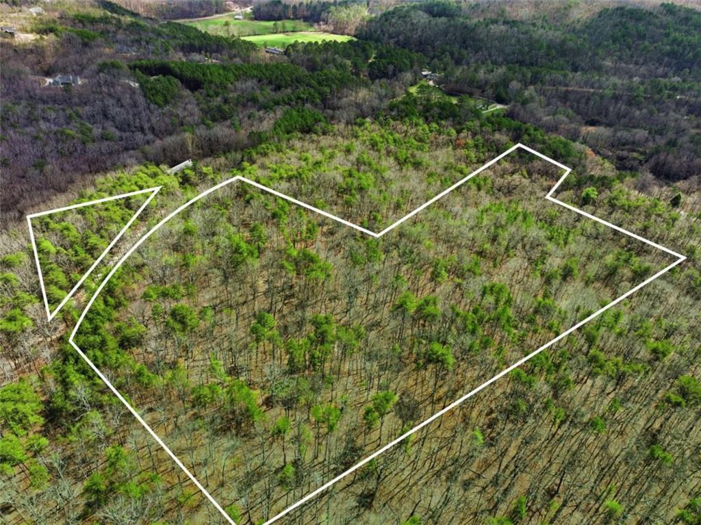 64 Bull Gap Road Talking Rock, GA 30175 - Photo 6 of 10