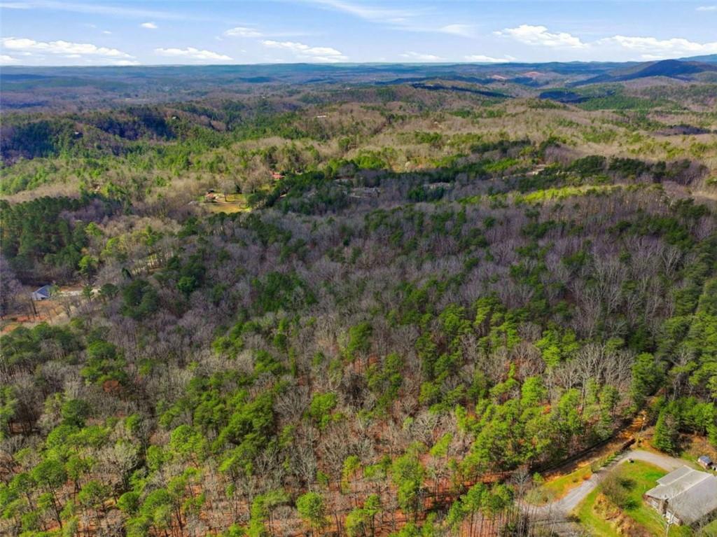64 Bull Gap Road Talking Rock, GA 30175 - Photo 9 of 10 a view of a yard with an outdoor space