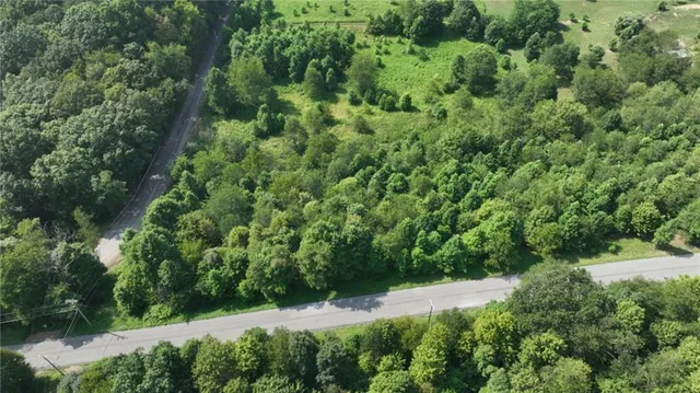 an aerial view of residential house with green space