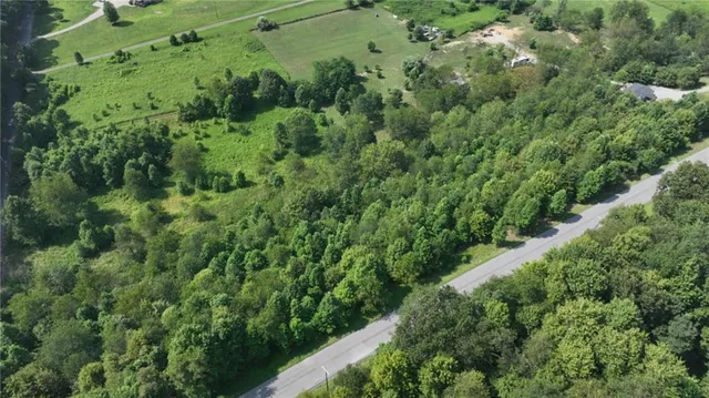 an aerial view of a houses with a lush green forest