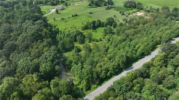a view of a lush green forest with lots of trees