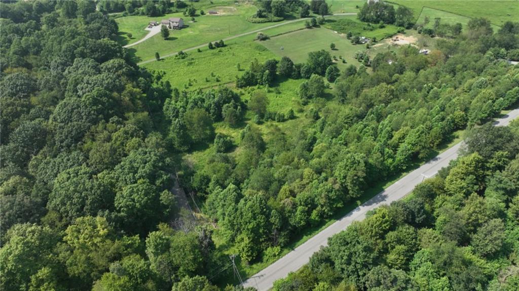 Lot 10 Beulah Church Road Apollo, PA 15613 - Photo 3 of 6 a view of a lush green forest with lots of trees