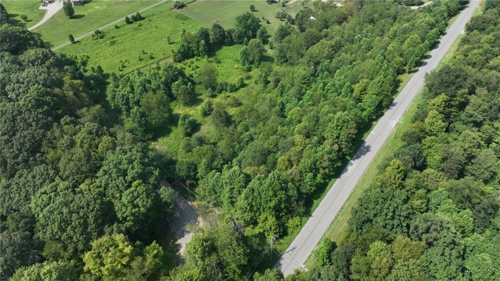Lot 10 Beulah Church Road Apollo, PA 15613 - Photo 4 of 6 a close up of a plant in a garden