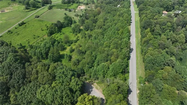 a view of a forest with a street
