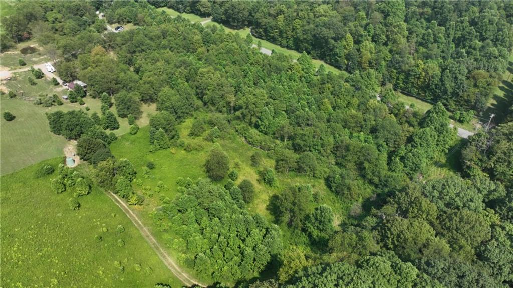 Lot 10 Beulah Church Road Apollo, PA 15613 - Photo 6 of 6 a view of a lush green forest