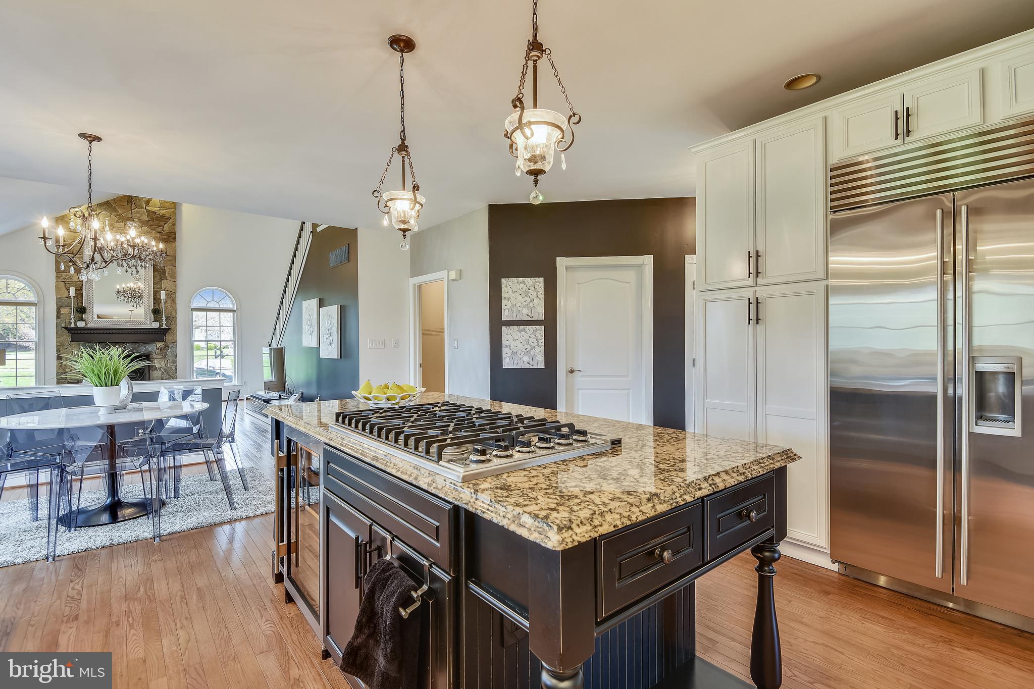 1704 Raleigh Hill Road Vienna, VA 22182 - Photo 7 of 42 Sub-Zero and Viking stainless steel appliances