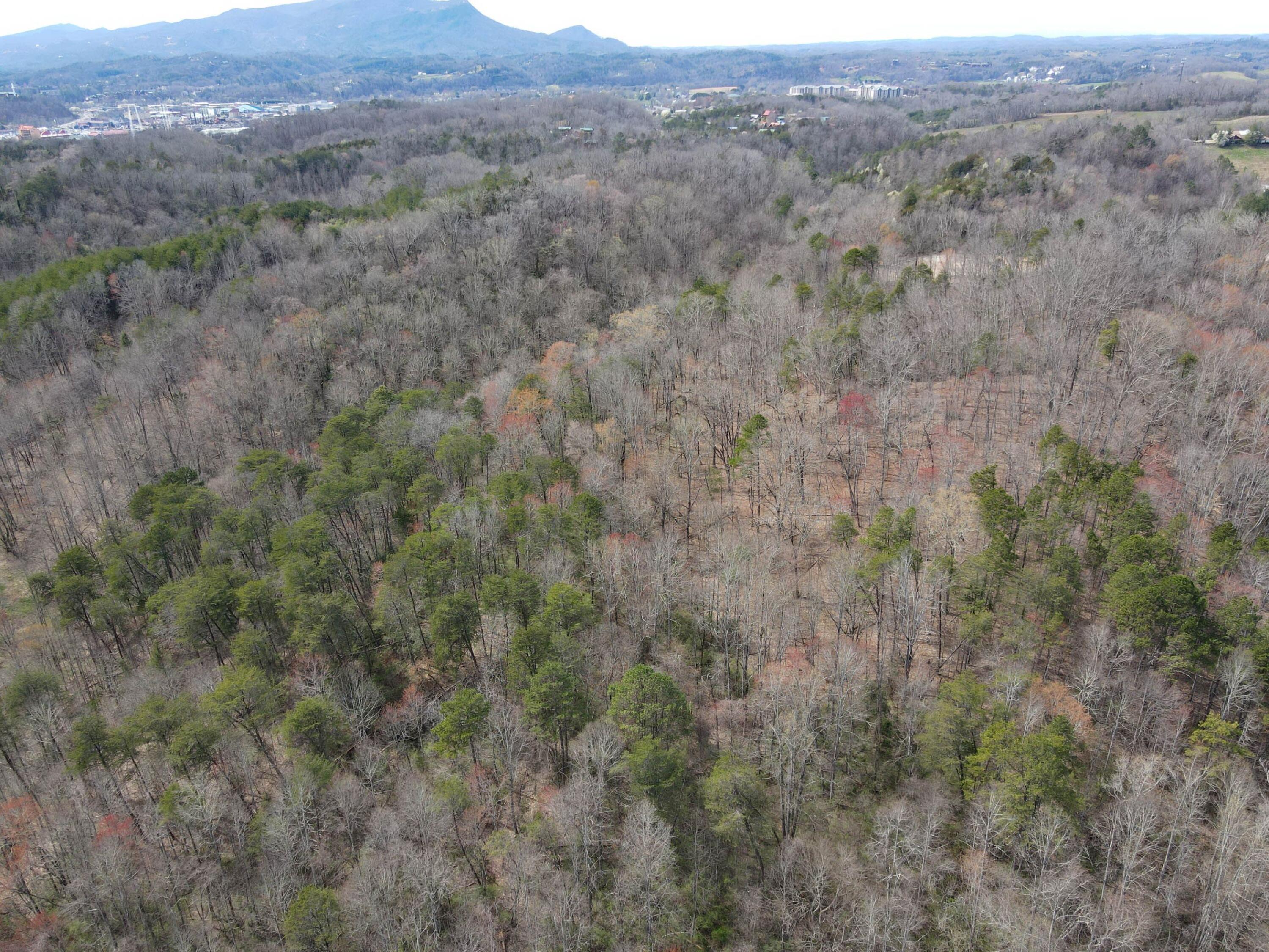19.76-ac Ridge Road Pigeon Forge, TN 37863 - Photo 1 of 10 19.76 Ac Ridge 7