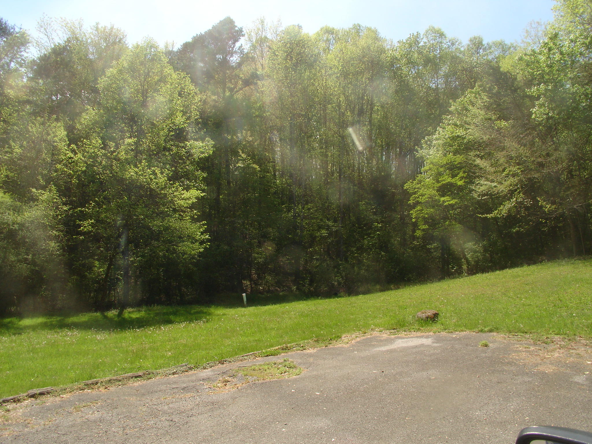 19.76-ac Ridge Road Pigeon Forge, TN 37863 - Photo 4 of 10 DSC02048